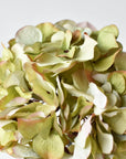 30" Faux Hydrangea Stem Green Lavender