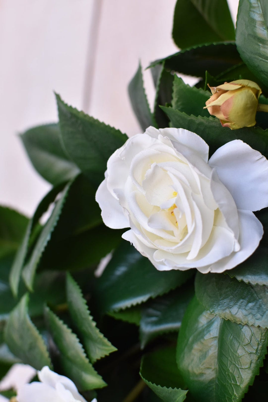 26" Faux White Camellia with Foliage Wreath