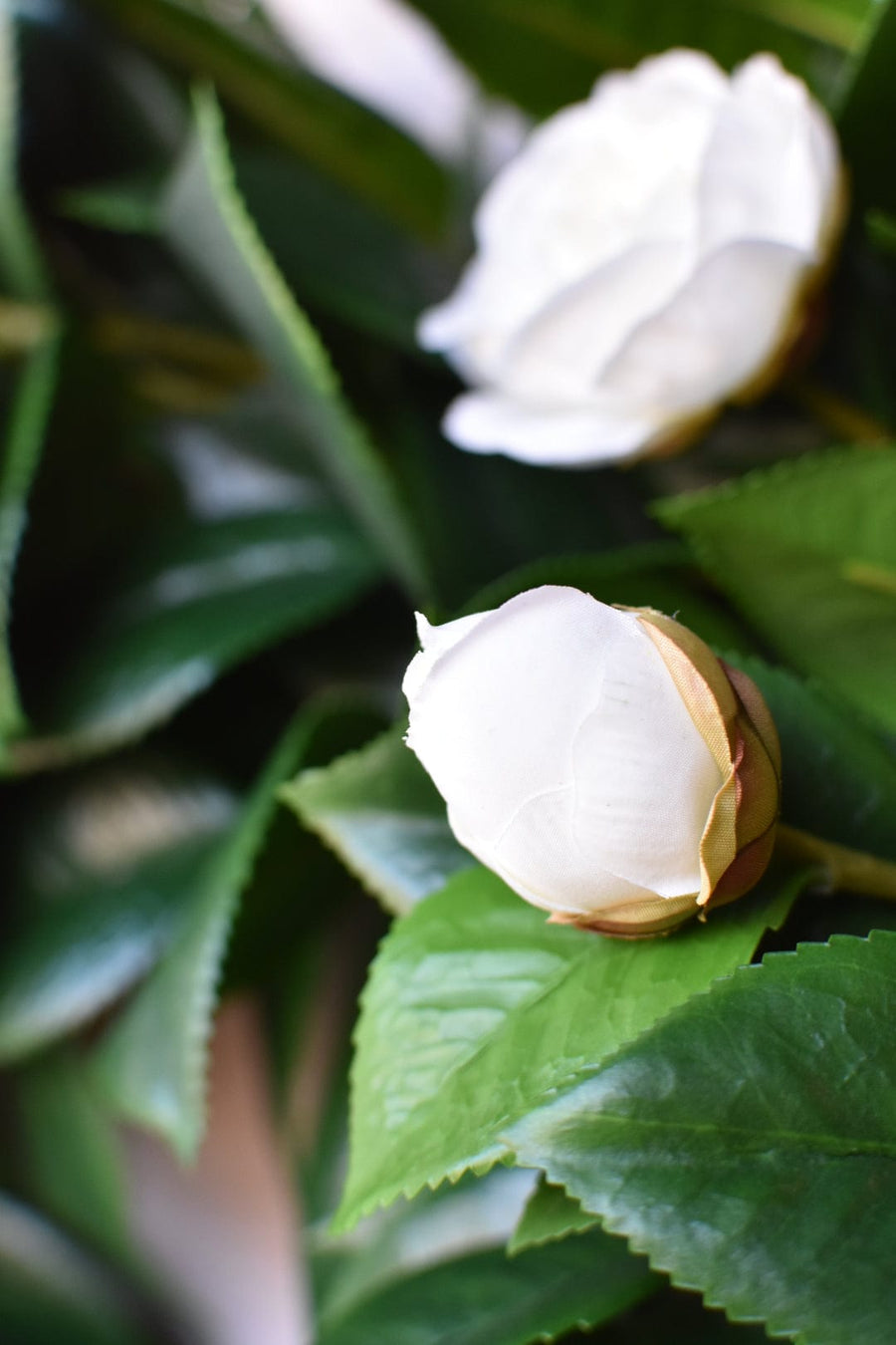 26" Faux White Camellia with Foliage Wreath