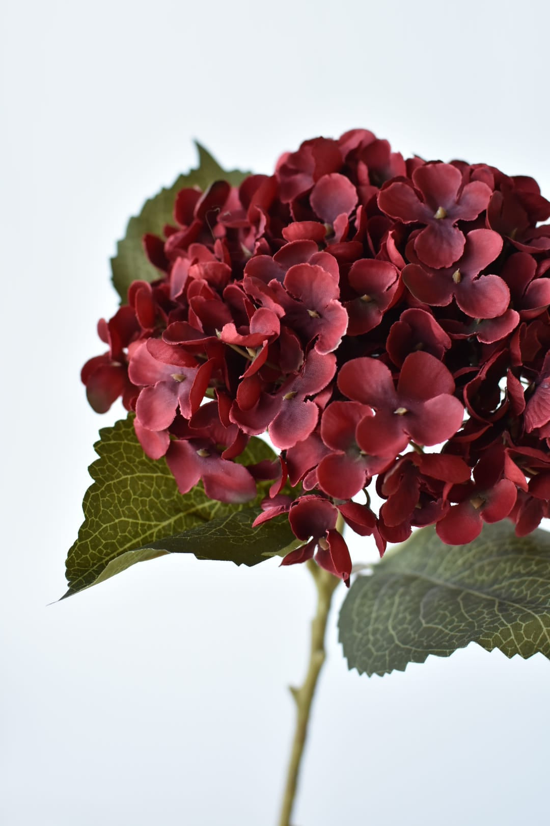 20.5-inch faux burgundy hydrangea head stem with gray green leaves, full stem view