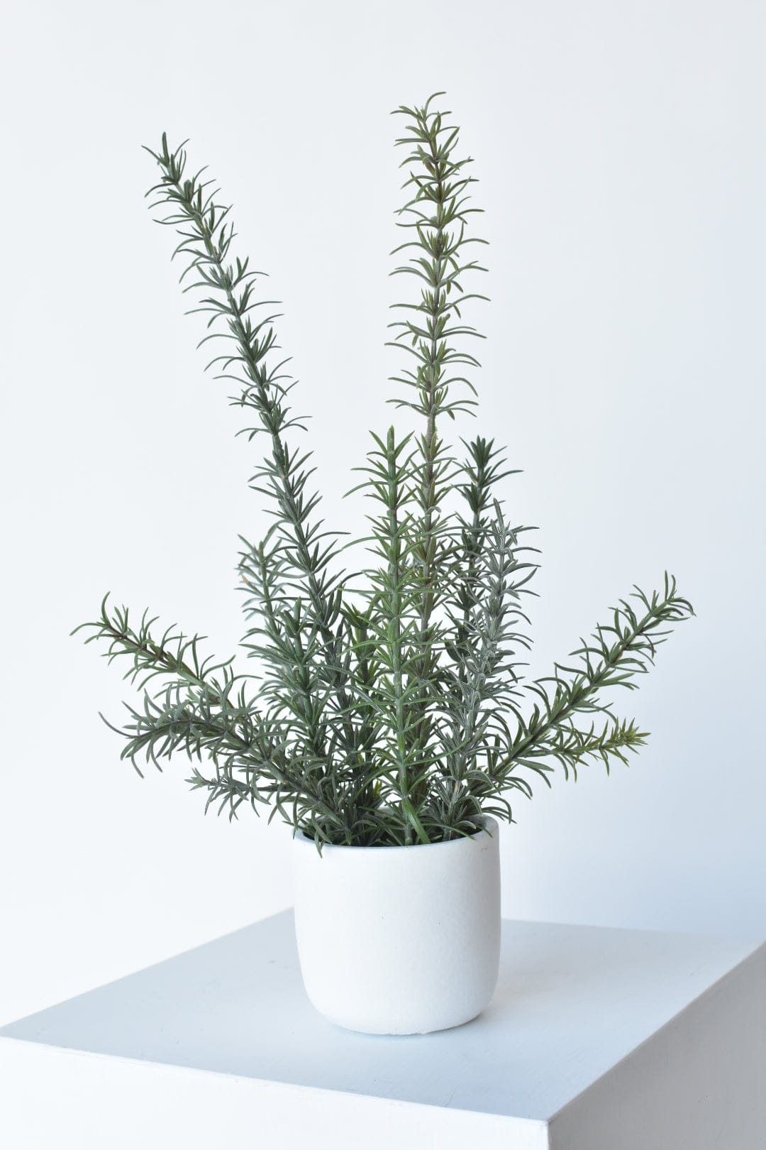 17"H Faux Rosemary Plant in Pot