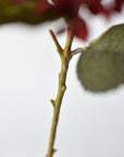 Artificial burgundy hydrangea stem at an angle with three muted gray green leaves