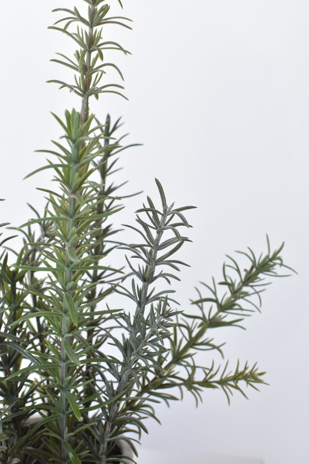 17"H Faux Rosemary Plant in Pot