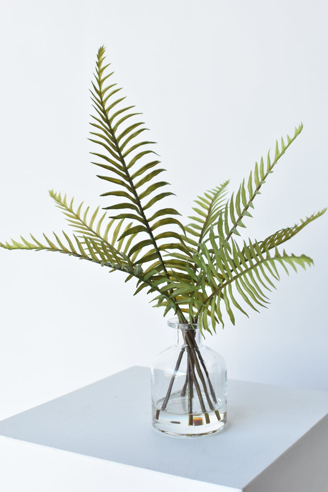 16" Sword Forest Fern in Glass Vase