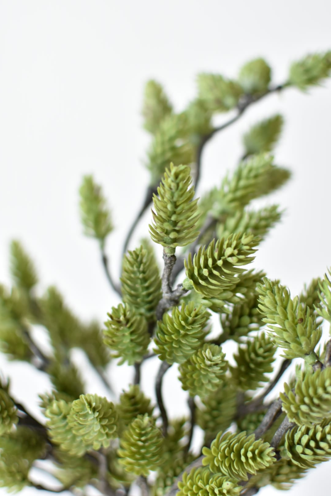 Artificial green pinecone bush from the side showing its five wired stems