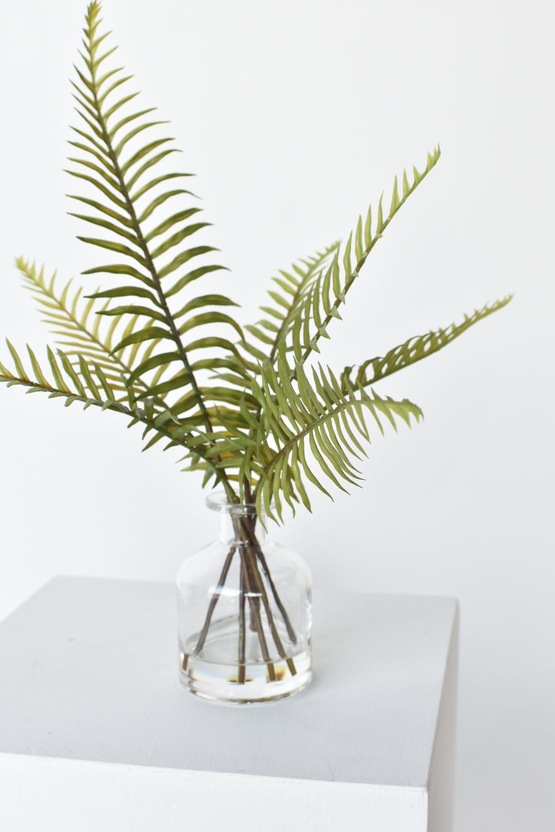 16" Sword Forest Fern in Glass Vase