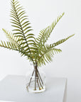 16" Sword Forest Fern in Glass Vase