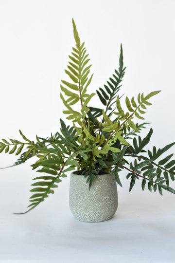 13" Faux Winterbourne Fern in Pot - FERN3