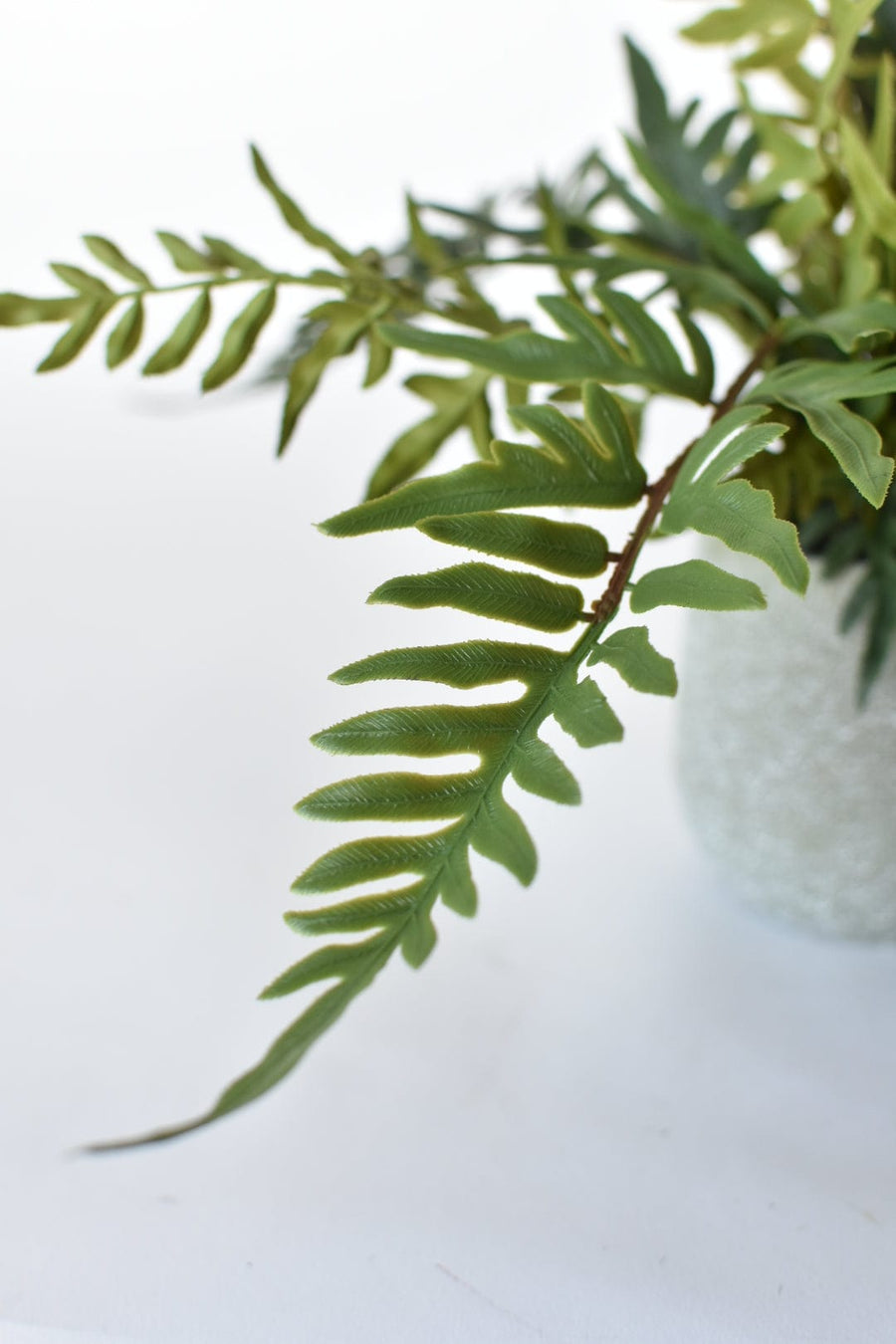 13" Faux Winterbourne Fern in Pot - FERN3