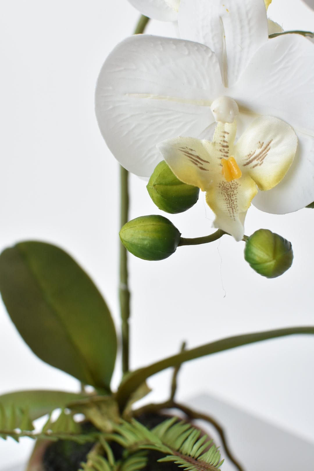 17" Faux Phalaenopsis Orchid in Terra Cotta Pot