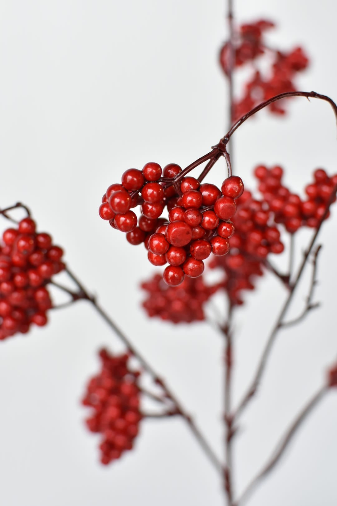 27-inch faux red wild forest berry spray, weather proof, full stem view