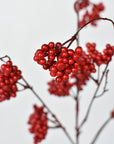 27-inch faux red wild forest berry spray, weather proof, full stem view
