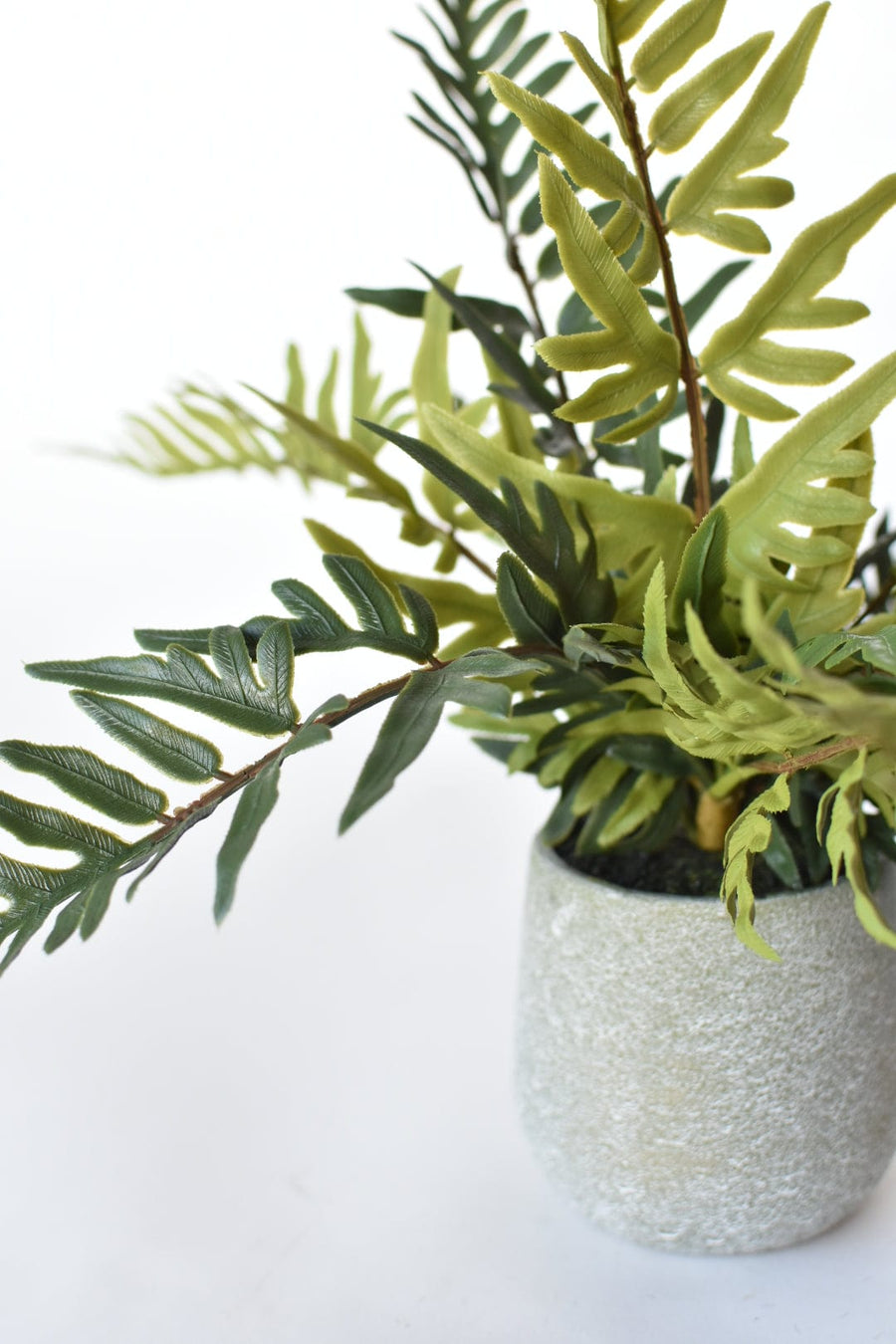 13" Faux Winterbourne Fern in Pot - FERN3