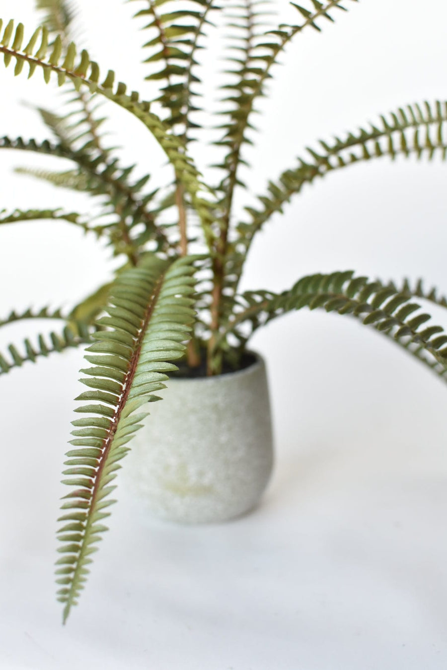 17" Faux Sword Fern in Pot - FERN1