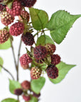 Artificial raspberry branch showing berries ripening from green to burgundy