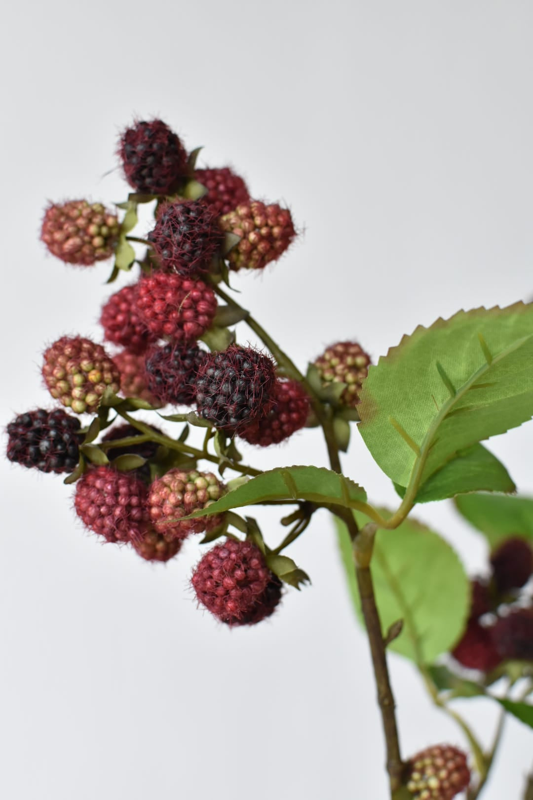 Faux raspberry stem from the side with clumps of fruit and green foliage