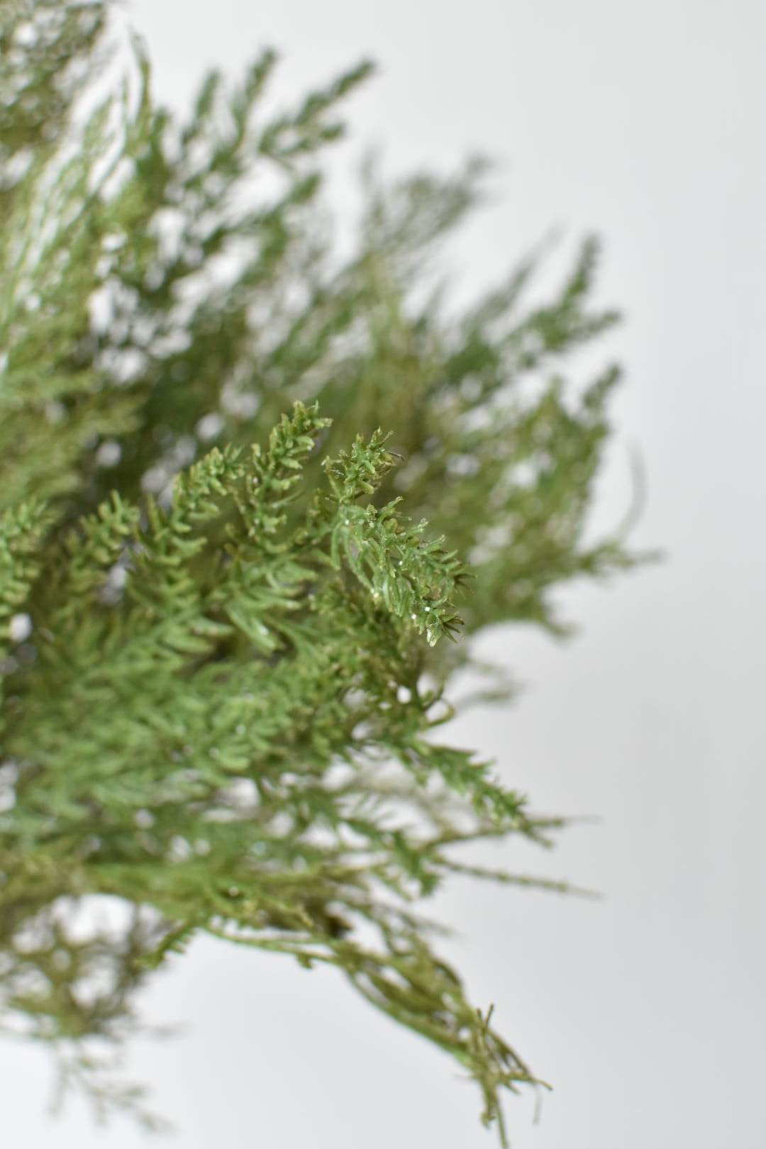 26-inch faux cedar bundle with fine clear glitter, three stems tied together