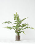 25" Faux Forest Fern in Glass Vase