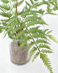 25" Faux Forest Fern in Glass Vase