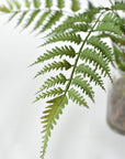 25" Faux Forest Fern in Glass Vase