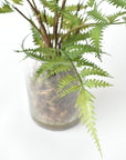 25" Faux Forest Fern in Glass Vase