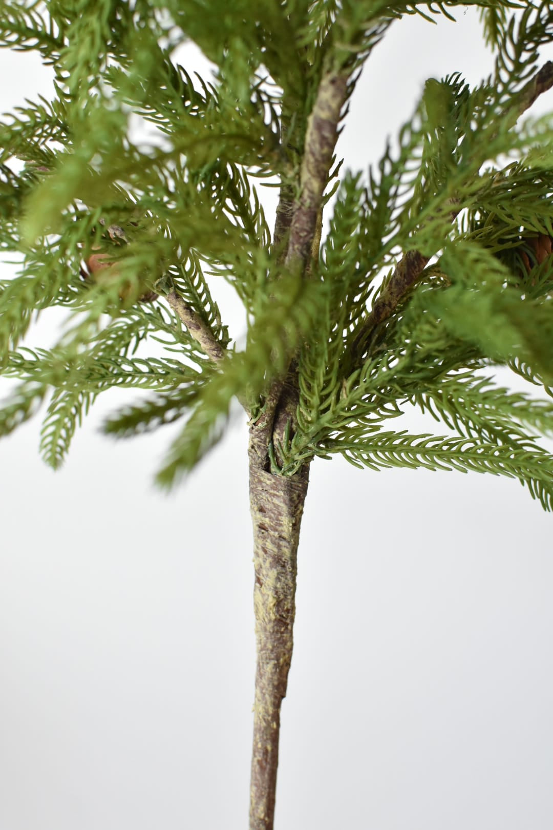 Faux Norfolk pine branch from the side with its six branches fanned open