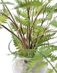 25" Faux Forest Fern in Glass Vase