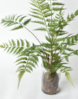 25" Faux Forest Fern in Glass Vase