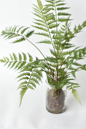 25" Faux Forest Fern in Glass Vase