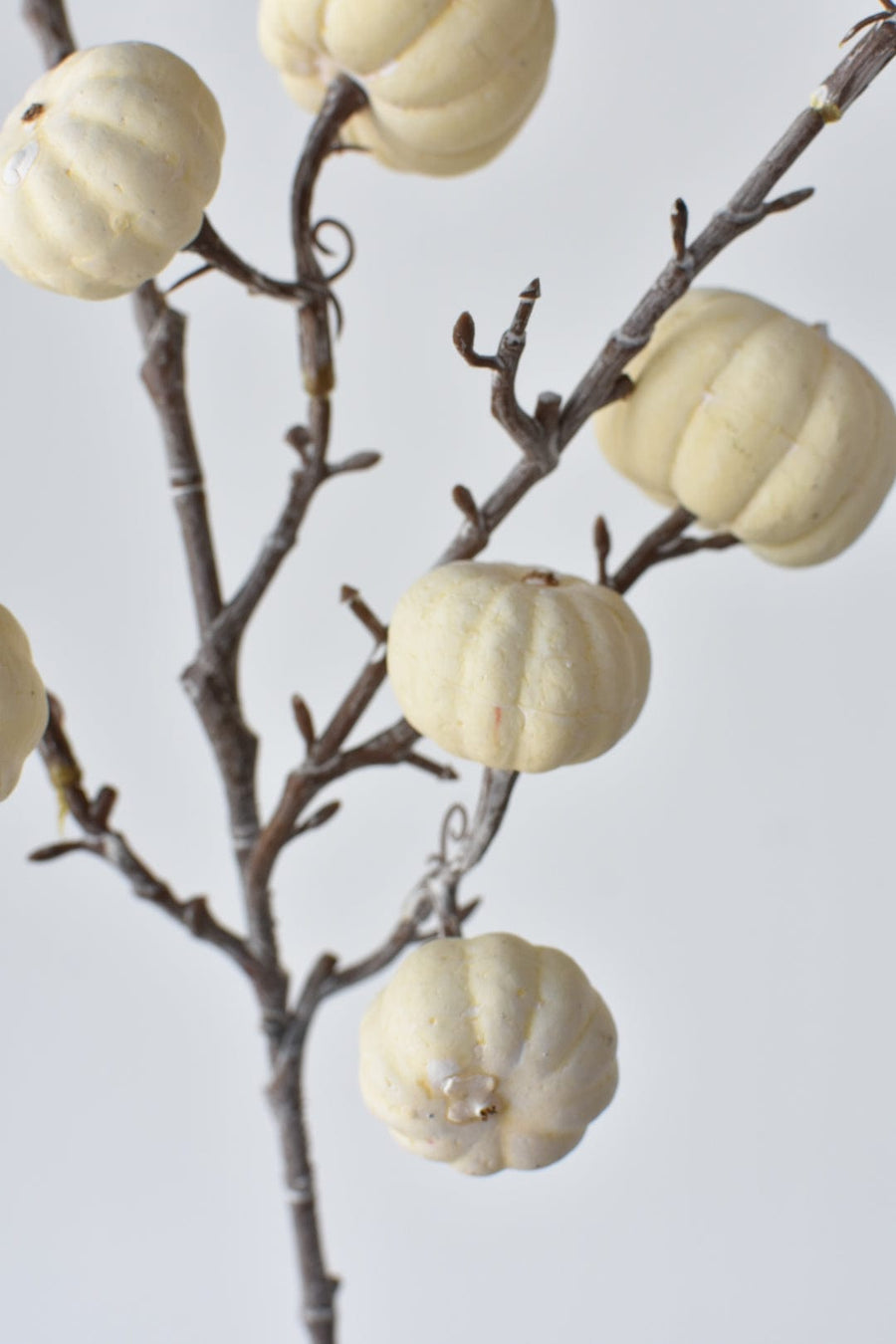 29" Faux White-Washed Pumkins On A Branch: Cream and White