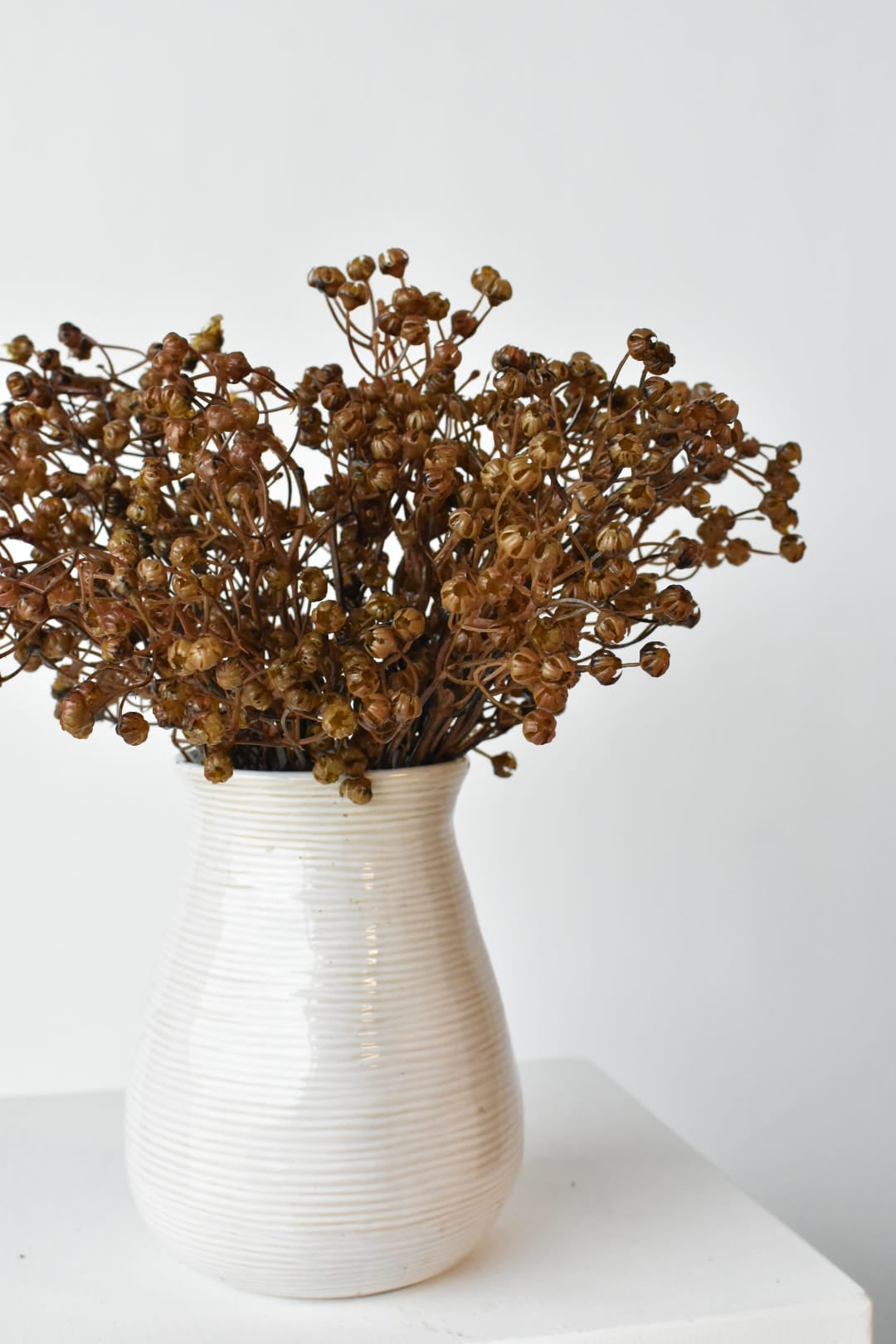 Three bundles of faux brown baby's breath filling a white container
