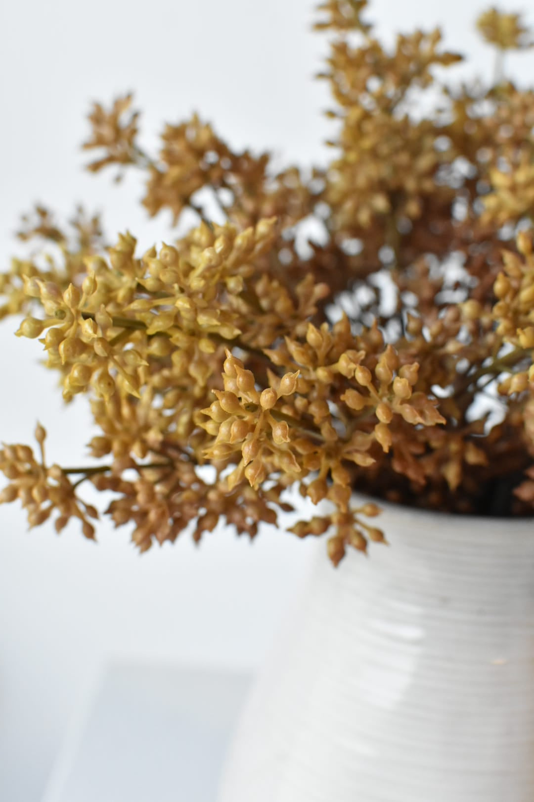 Close-up of faux beige sedum stems arranged in a vase
