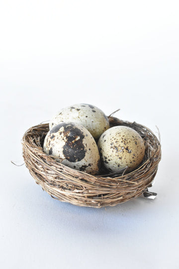 Set of 4 REAL Drained Quail Eggs in Nest w/clip