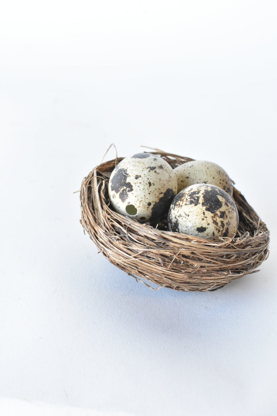 Set of 4 REAL Drained Quail Eggs in Nest w/clip