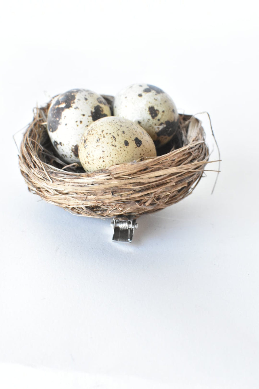 Set of 4 REAL Drained Quail Eggs in Nest w/clip