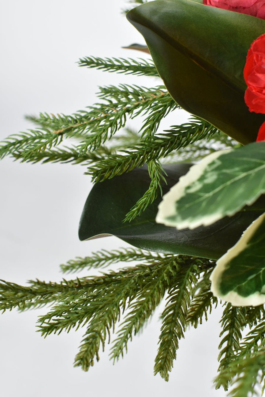 Red Ranunculus/Holly/Norfolk/Magnolia Pine Drop In X02