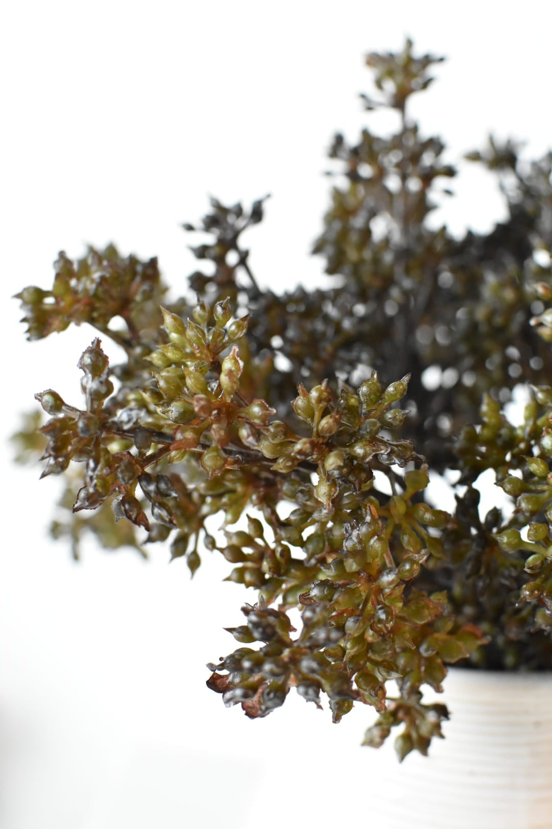 Close-up of faux dark brown sedum stems mounded in a vase