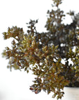 Close-up of faux dark brown sedum stems mounded in a vase