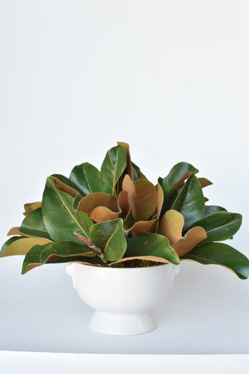 Magnolia Leaf Arrangement with Faux Ring Details