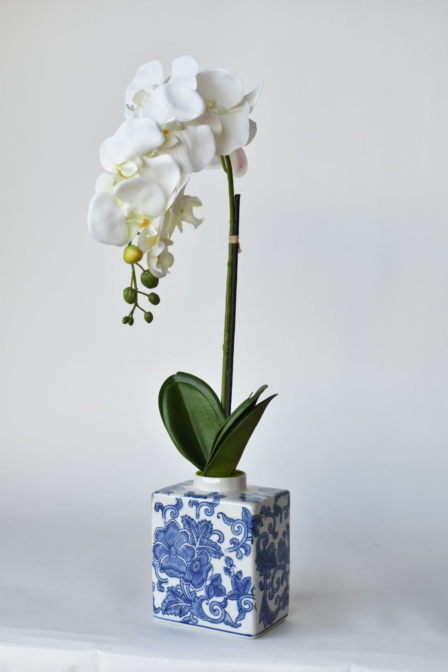 22" Faux Phalaenopsis Orchid in Blue/White Container - 1OR