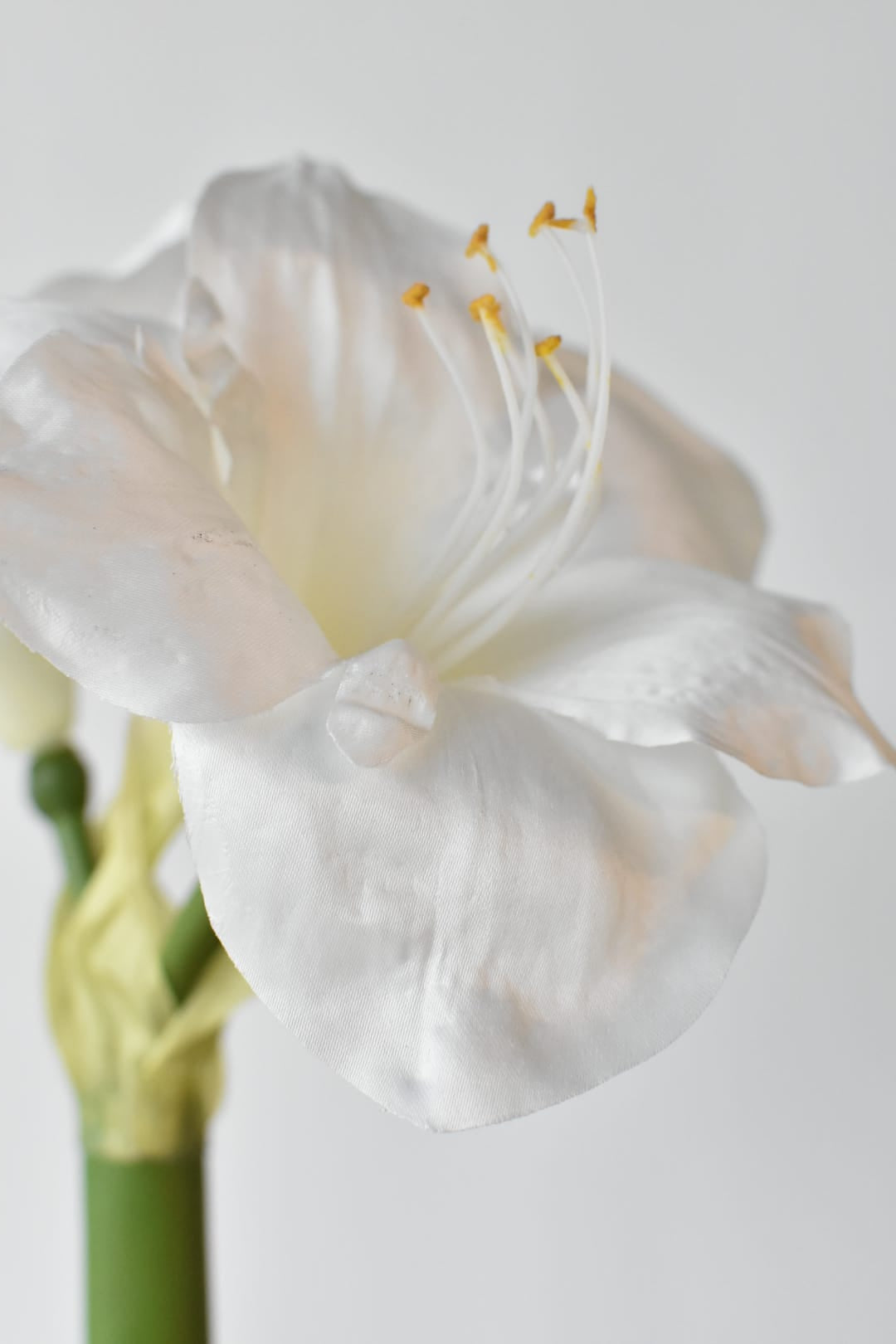 White amaryllis blooms on the potted faux arrangement