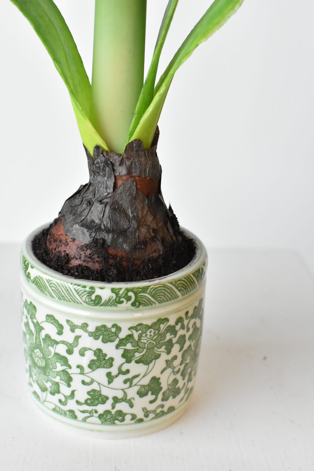 Close view of the bulb and moss detail in the green porcelain pot