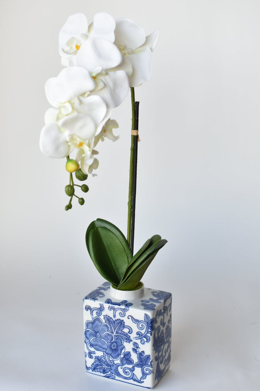 22" Faux Phalaenopsis Orchid in Blue/White Container - 1OR