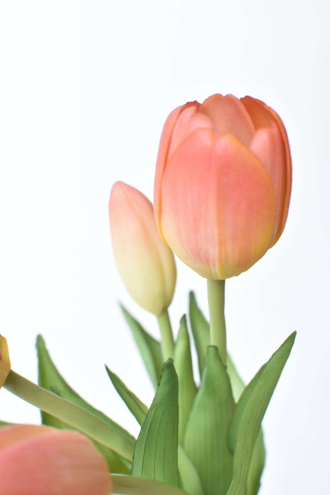 10" Faux Real Touch Peach/Coral Tulip Stem Bundle