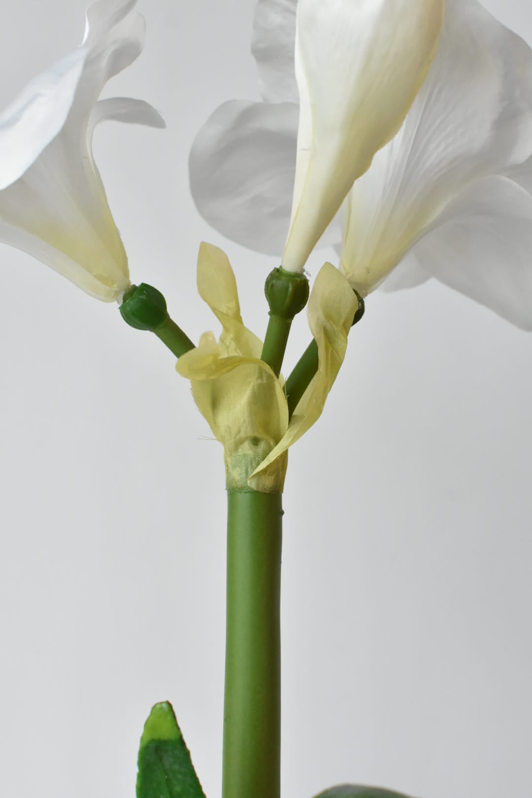 Full view of the 20 inch faux white amaryllis in a green pot