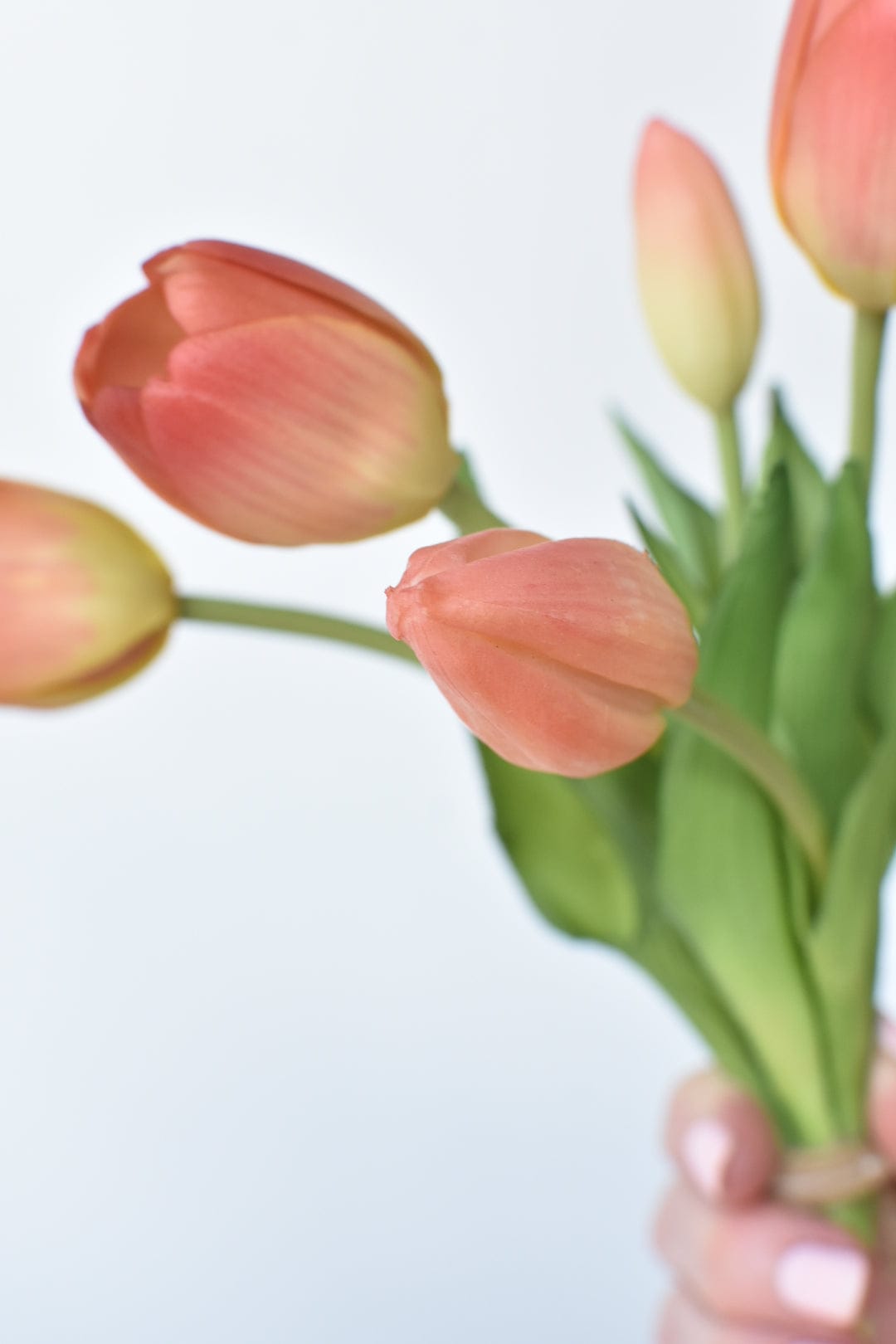 10" Faux Real Touch Peach/Coral Tulip Stem Bundle