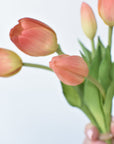 10" Faux Real Touch Peach/Coral Tulip Stem Bundle