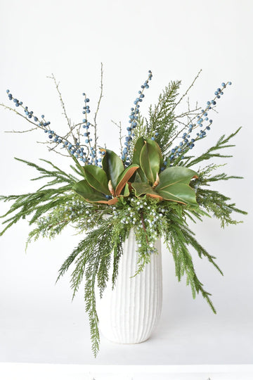Juniper Norfolk Cedar - Curated Bundle