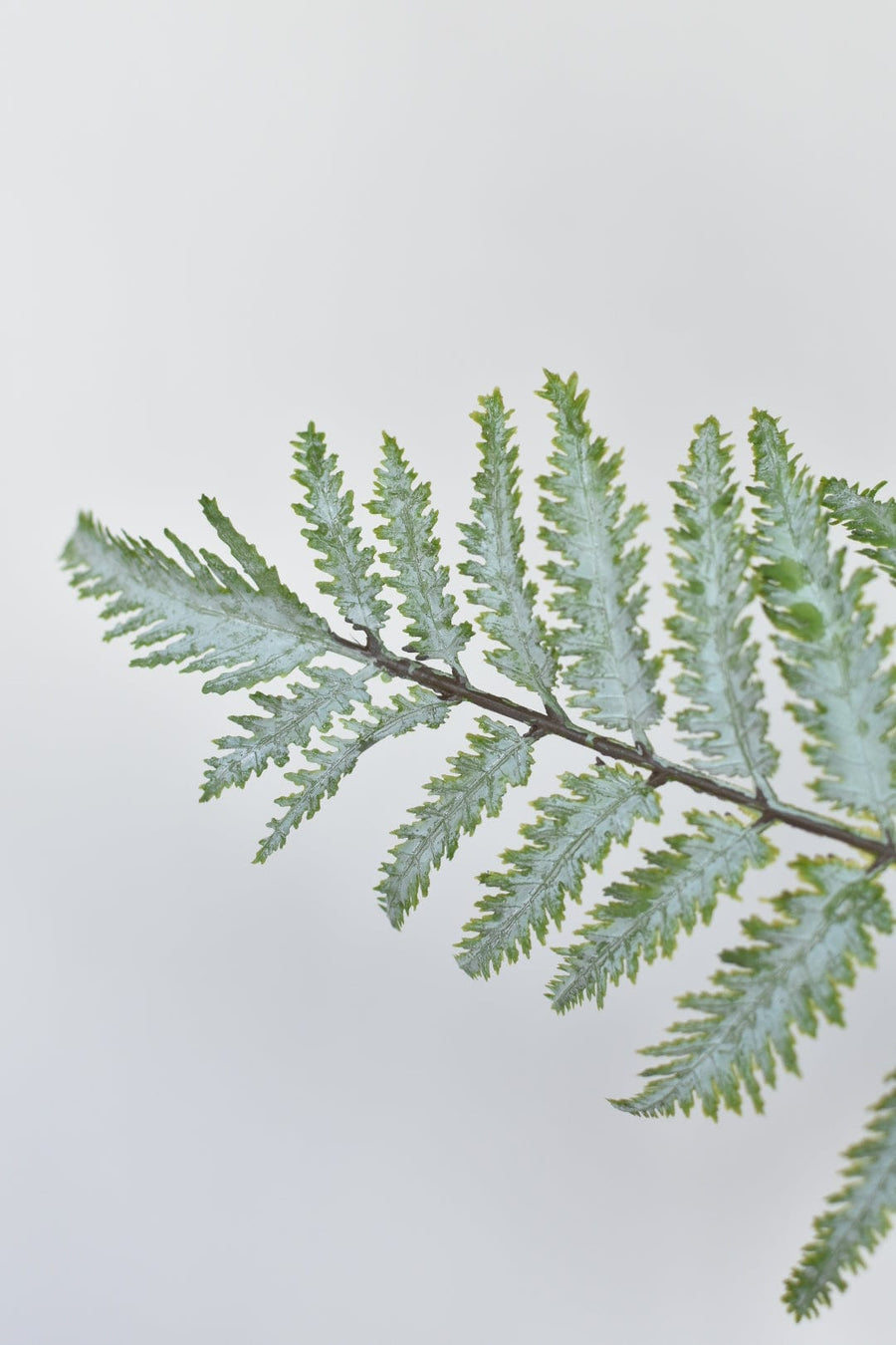 36" Faux Gray Washed Forest Fern Spray