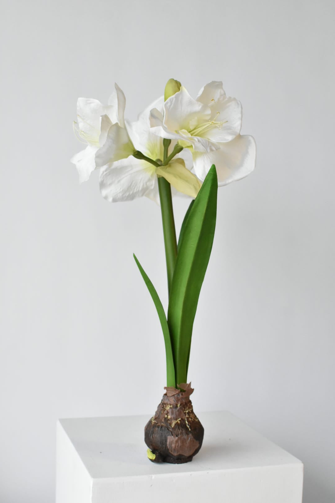 Faux white amaryllis with a hand-finished resin bulb, 21 inches tall